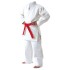 Judo