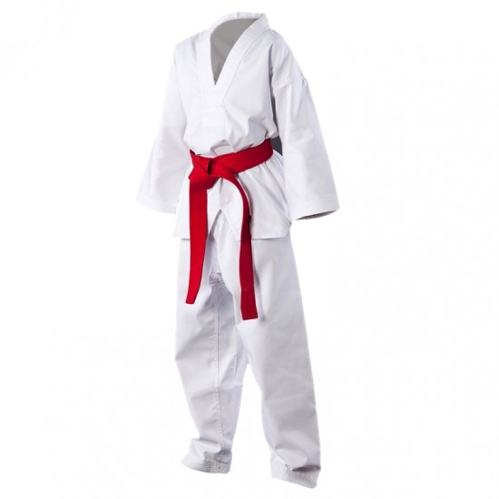 Taekwondo