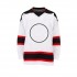 Ice Hockey