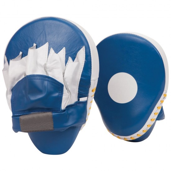 Punching Mitts